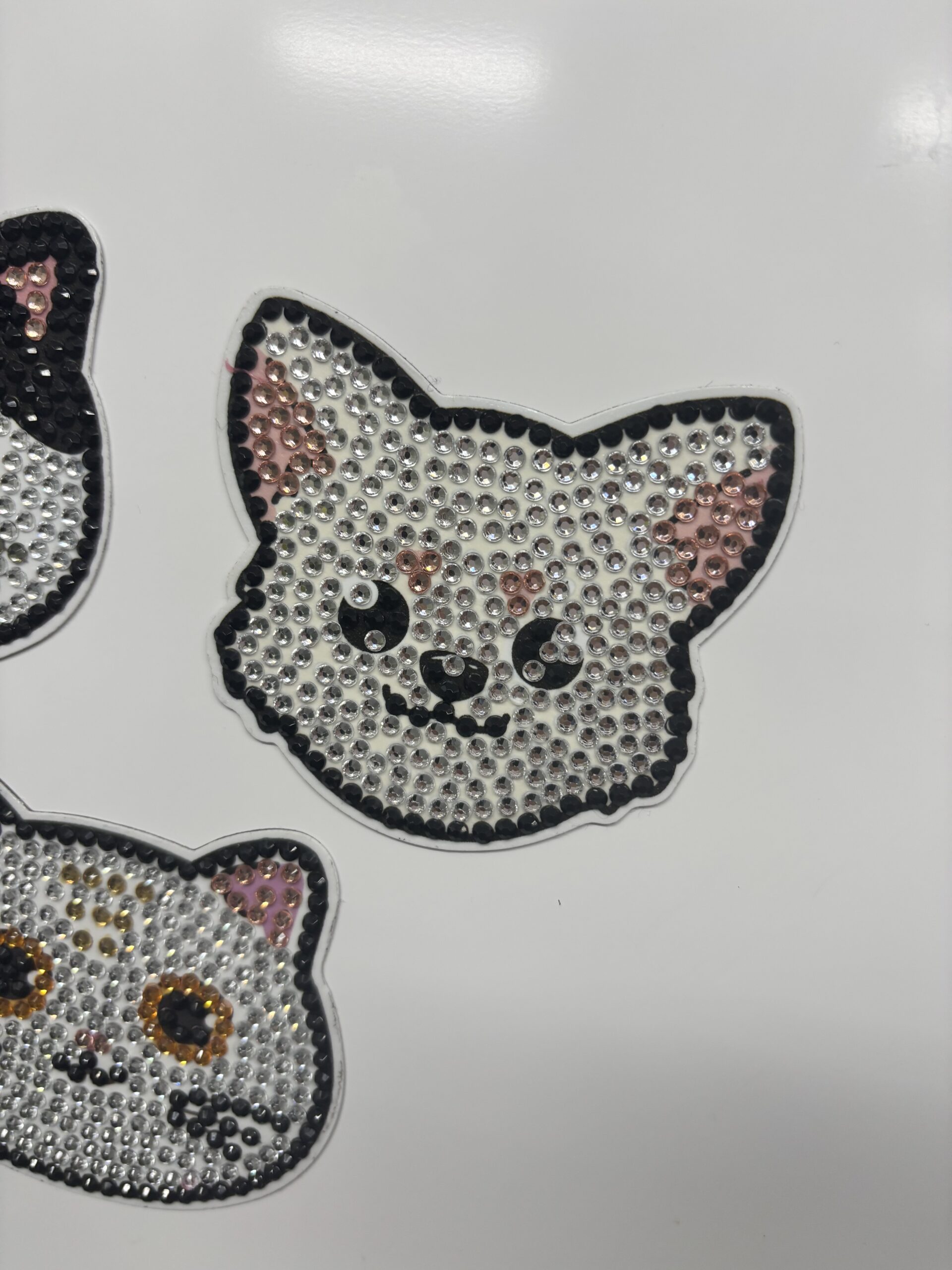 キラキラに囲まれてます