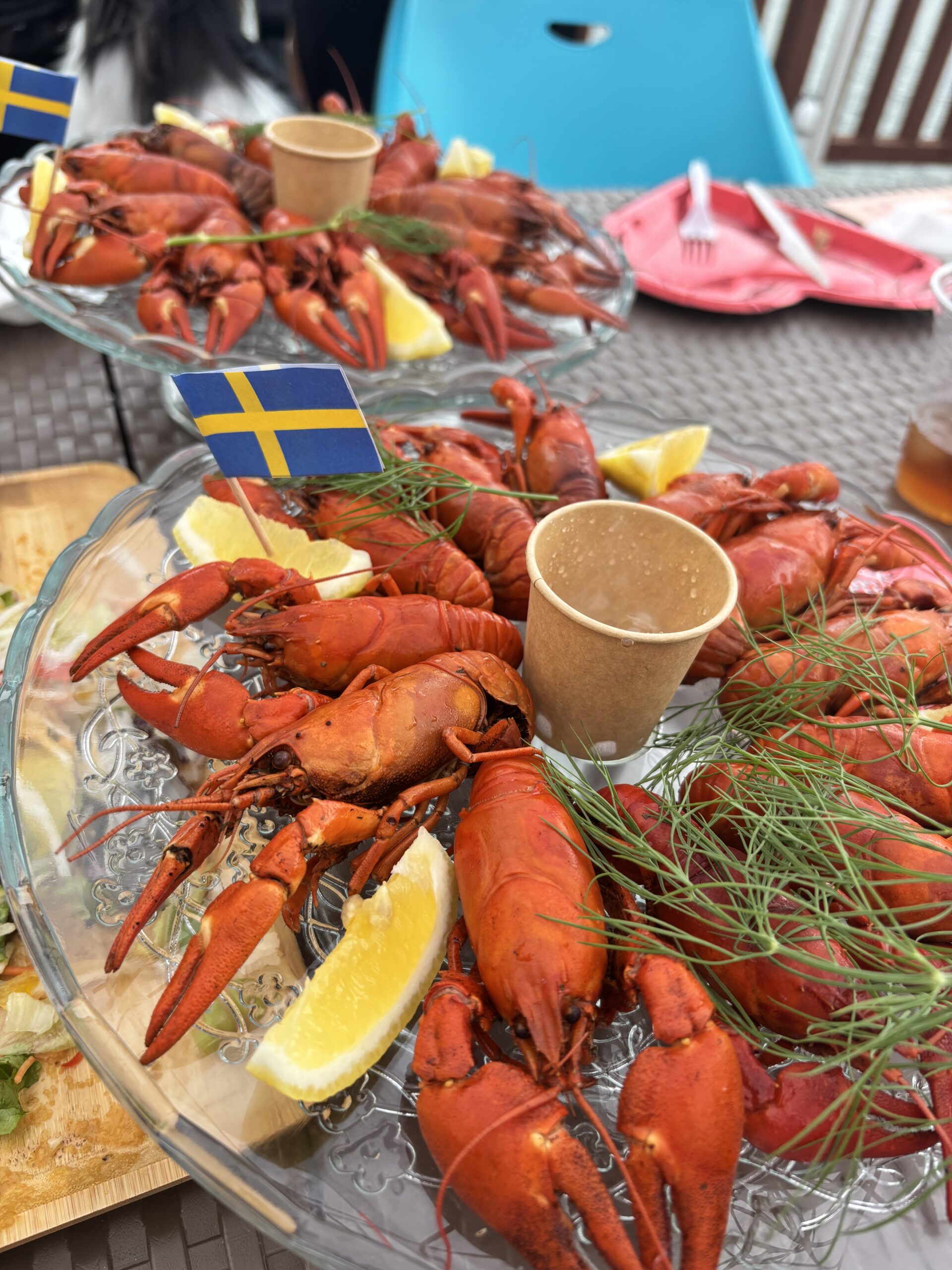 ザリガニパーティ